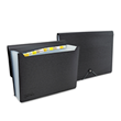 Rapesco Germ-Savvy Antibacterial Expanding File A4 13 Pocket Black